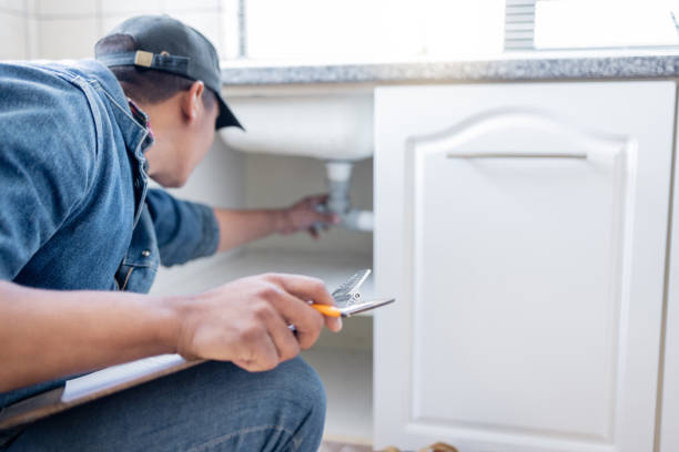 Best Clogged Drain Plumber  in Verona, WI
